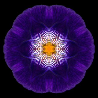 Flower mandala